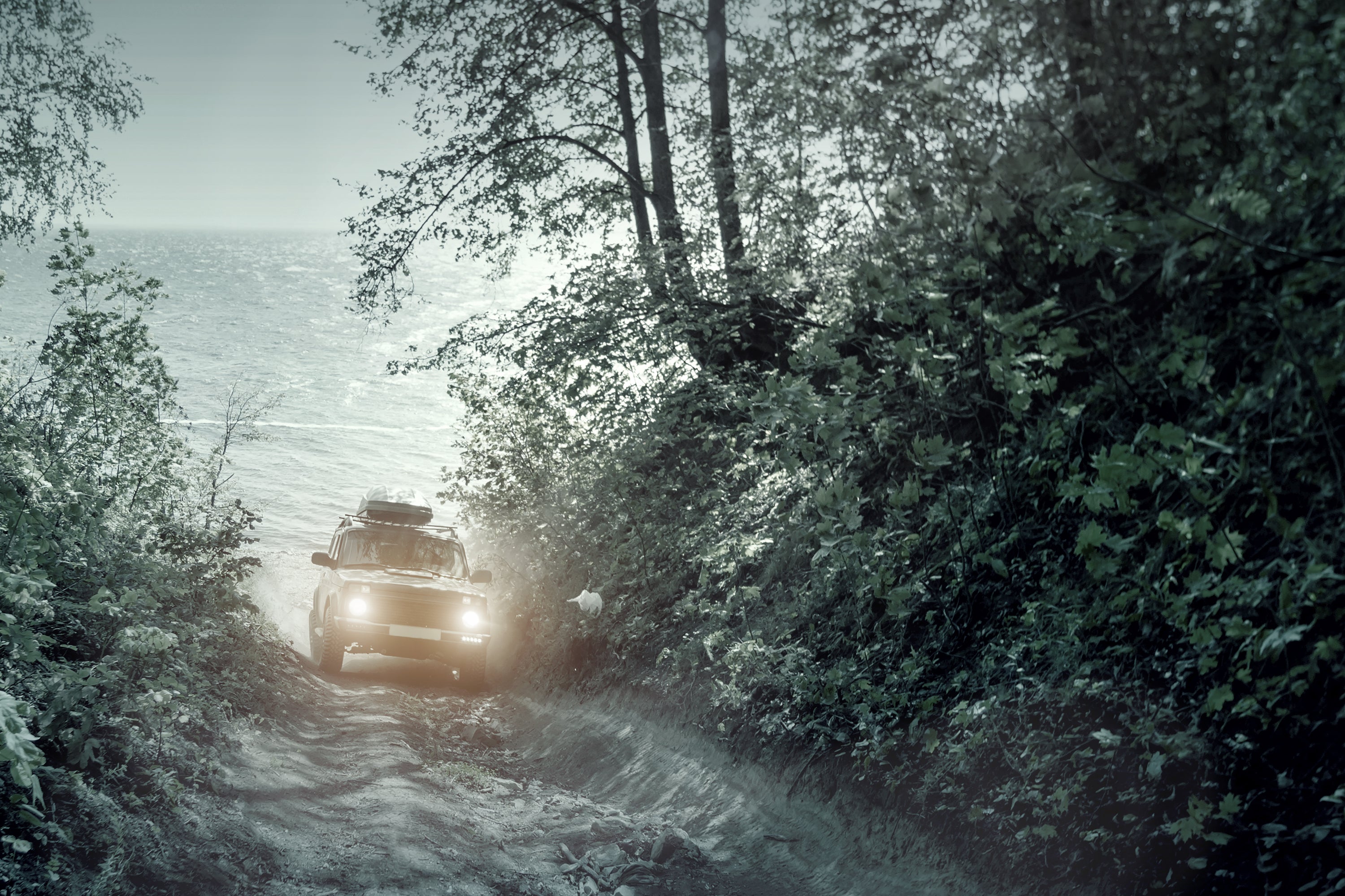 Off-road vehicle driving on a dirt road surrounded by trees