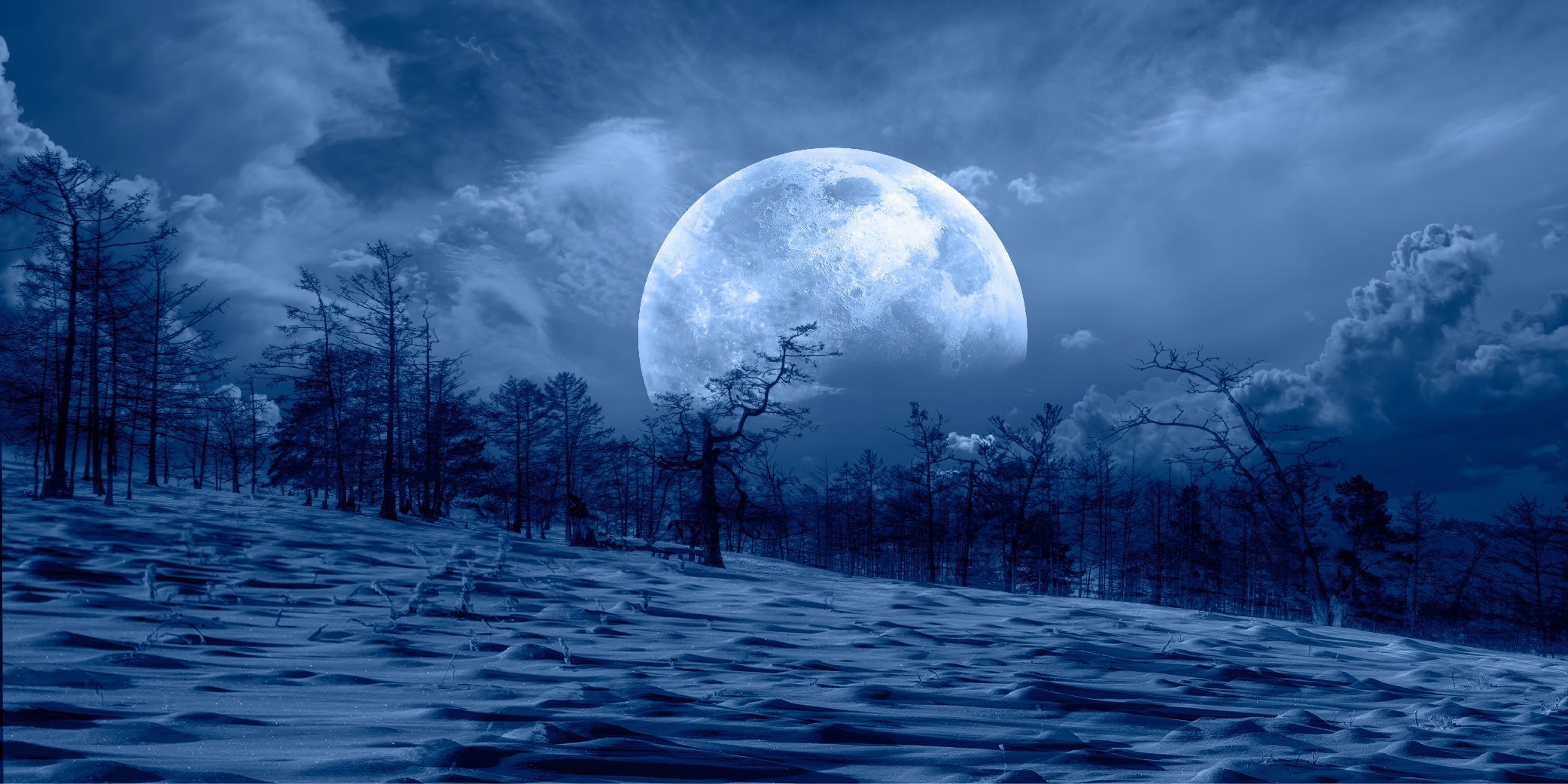 🌕 Snow Moon Whispers — February 2026 Night Sky Events