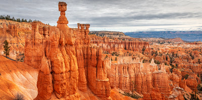 Minimalist — Imperial Jasper (FR6mm)